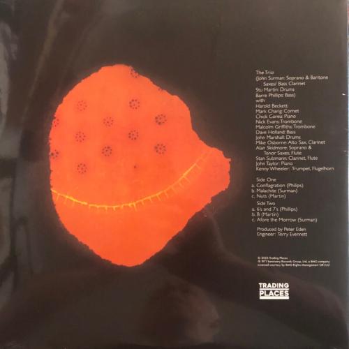 Виниловая пластинка The Trio - Conflagration (Black Vinyl LP)