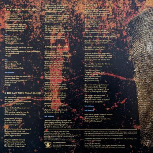 Виниловая пластинка Amon Amarth - The Avenger (Coloured Vinyl LP)