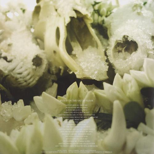 Виниловая пластинка Soundgarden, King Animal