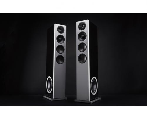 Напольная акустика Definitive Technology Demand D15 black