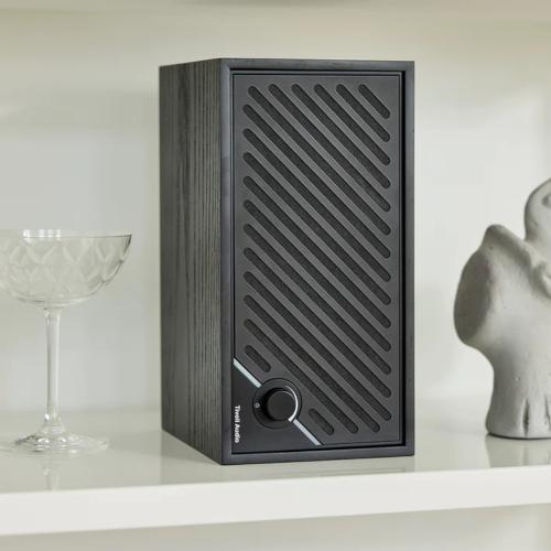 Беспроводная акустика Tivoli Audio Model Two Digital Black/Black