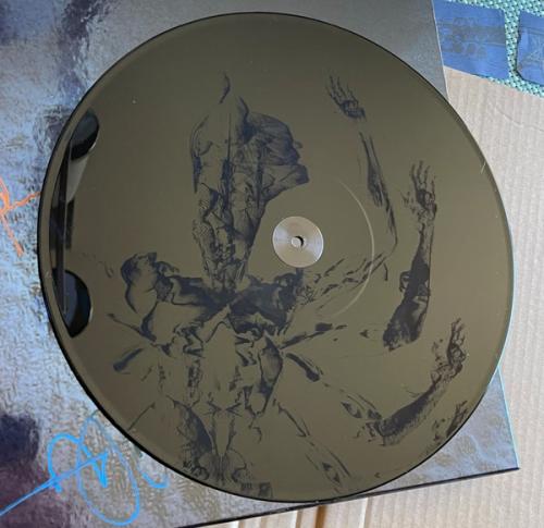 Виниловая пластинка Tool - Fear Inoculum (Limited Deluxe Edition 180 Gram Black Vinyl 5LP)