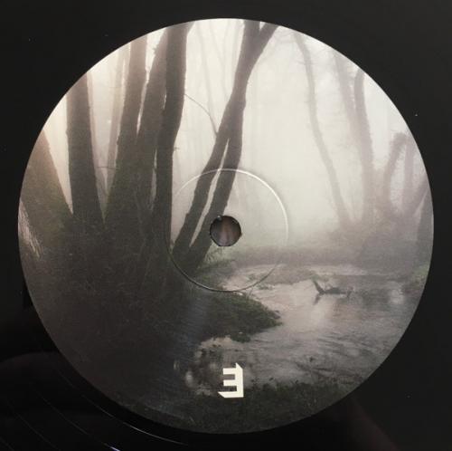 Виниловая пластинка Dinosaur - To The Earth (Black Vinyl LP)