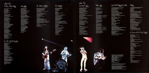 Виниловая пластинка Queen, A Day At The Races (Standalone - Black Vinyl)