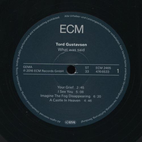 Виниловая пластинка Tord Gustavsen TORD GUSTAVSEN: WHAT WAS SAID