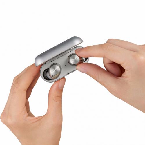 Наушники Technics EAH-AZ40M2GS Silver