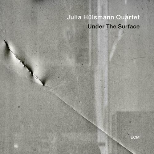 Виниловая пластинка Julia Hulsmann - Under The Surface (Black Vinyl LP)