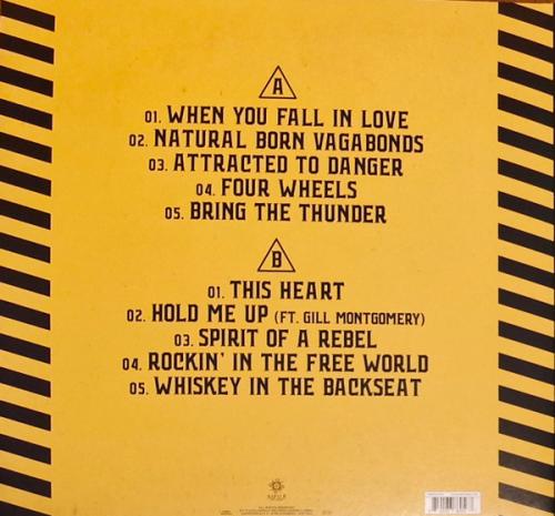 Виниловая пластинка The New Roses - Attracted To Danger (Black Vinyl LP)