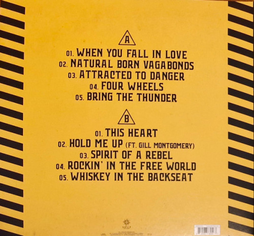 Виниловая пластинка The New Roses - Attracted To Danger (Black Vinyl LP)