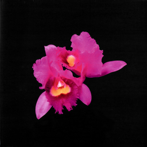 Виниловая пластинка Opeth - Orchid (Black Vinyl 2LP)