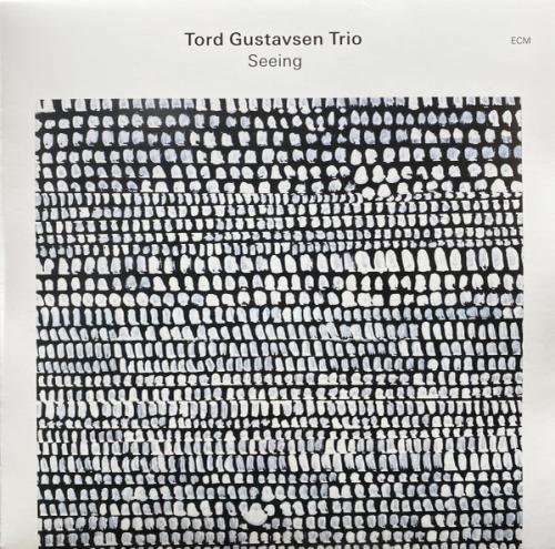Виниловая пластинка Tord Gustavsen - Seeing (Black Vinyl LP)