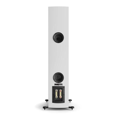 Напольная акустика Dali Rubikore 6 White High Gloss Lacquer