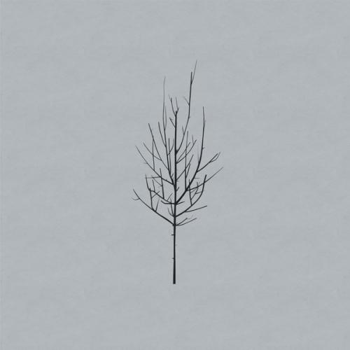 Виниловая пластинка Low - Ones And Sixes (Black Vinyl 2LP)