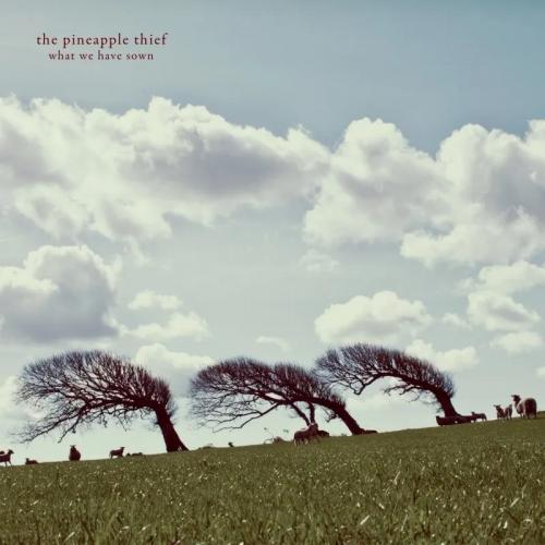 Виниловая пластинка The Pineapple Thief - What We Have Sown (Black Vinyl 2LP)