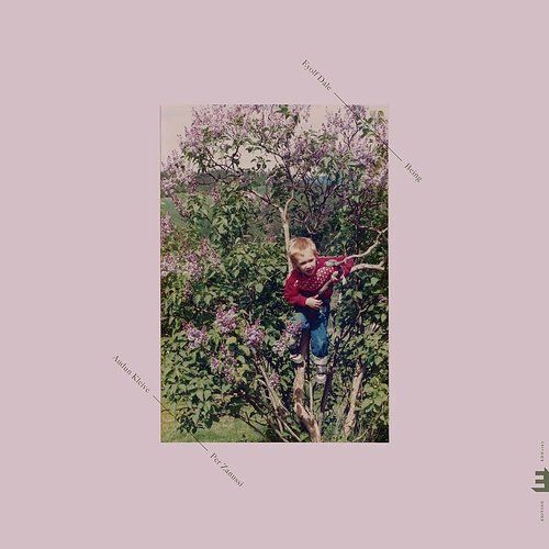 Виниловая пластинка Eyolf Dale - Being (Coloured Vinyl LP)