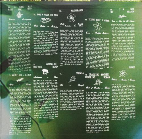 Виниловая пластинка Fleet Foxes - Shore (Black Vinyl 2LP)