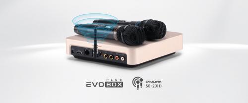 Караоке система Evolution EVOBOX Plus Ruby