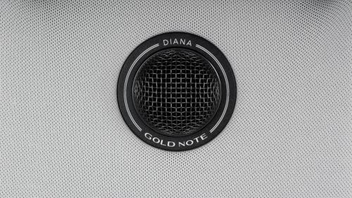 Акустика центрального канала Gold Note Diana Center Grey (Black tweeter)