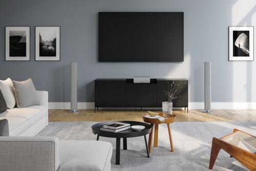 Напольная акустика Piega Ace 50 silver aluminum