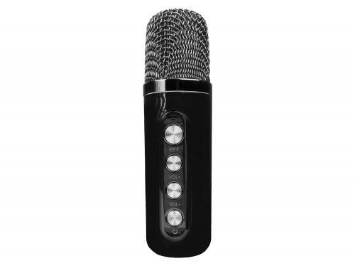 Переносная караоке система Iconbit K902B