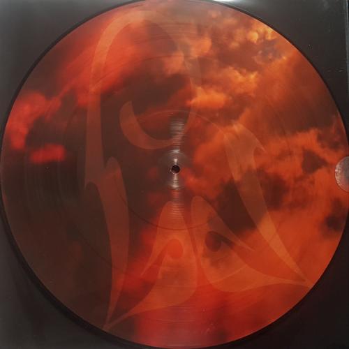 Виниловая пластинка Sony Michael Jackson History Continues (Limited Picture Vinyl)