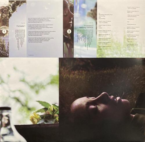 Виниловая пластинка Esperanza Spalding - Songwrights Apothecary Lab (Black Vinyl 2LP)