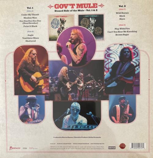 Виниловая пластинка Gov't Mule - Stoned Side Of The Mule (Blue & Red Vinyl 2LP)