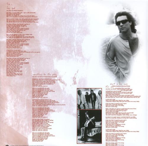 Виниловая пластинка Bon Jovi, These Days (Remastered 2014)