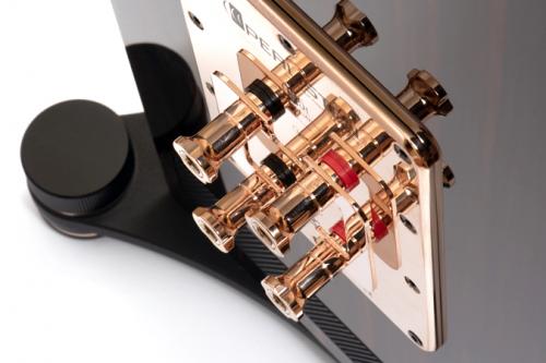 Напольная акустика Perlisten Audio S5t Ebony High Gloss
