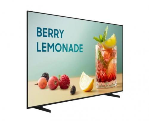 Коммерческий телевизор Samsung BE55FX-H