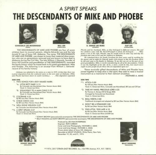 Виниловая пластинка Descendants Of Mike & Phoebe, The - A Spirit Speaks (Analogue) (Black Vinyl LP)
