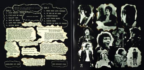 Виниловая пластинка Fleetwood Mac — MR. WONDERFUL (LP)