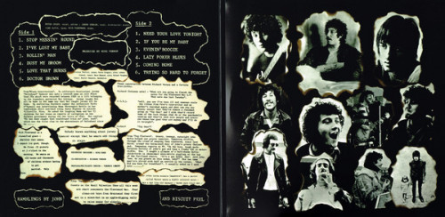 Виниловая пластинка Fleetwood Mac — MR. WONDERFUL (LP)