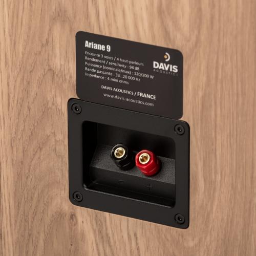 Напольная акустика Davis Acoustics Ariane 9 Light Oak