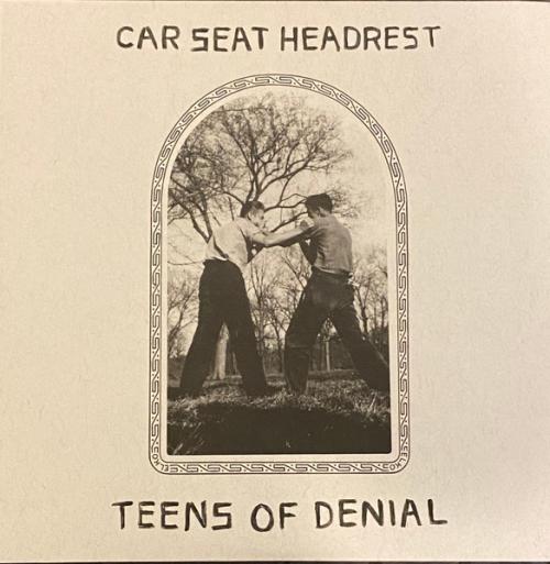 Виниловая пластинка Car Seat Headrest - Teens Of Denial (Black Vinyl 2LP)