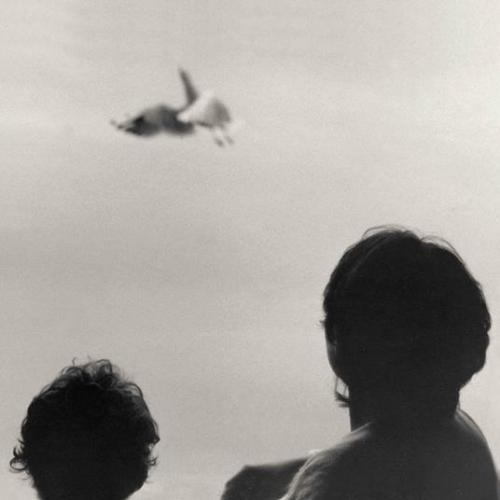 Виниловая пластинка Federico Albanese - Before And Now Seems Infinite (180 Gram Black Vinyl LP)
