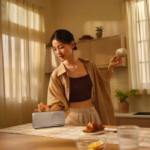 Портативная акустика Bose SoundLink Home Bluetooth Speaker Light Silver