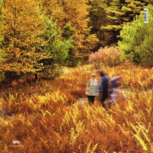 Виниловая пластинка Yo La Tengo -  There's A Riot Going On (Black Vinyl 2LP)
