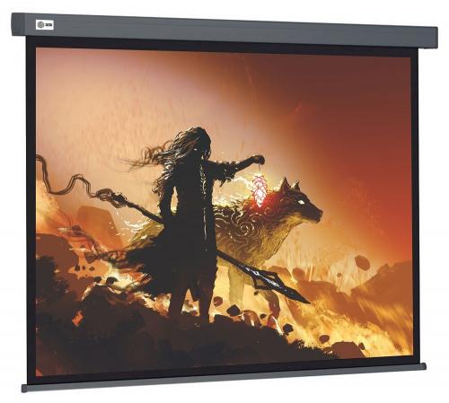 Экран Cactus Wallscreen CS-PSW-213x213-SG