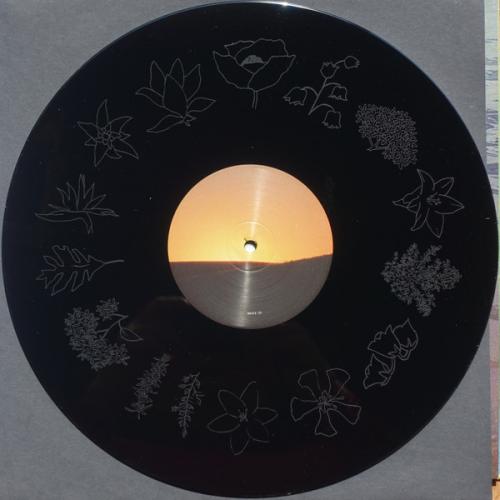 Виниловая пластинка Fleet Foxes - Shore (Black Vinyl 2LP)