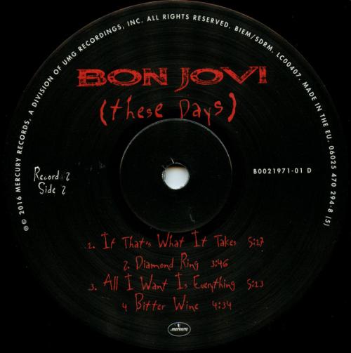 Виниловая пластинка Bon Jovi, These Days (Remastered 2014)