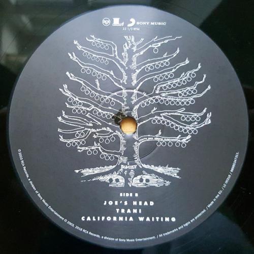 Виниловая пластинка Kings of Leon YOUTH AND YOUNG MANHOOD