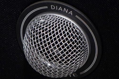 Акустика центрального канала Gold Note Diana Center Black (Silver tweeter)