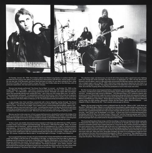 Виниловая пластинка Nirvana, Nirvana (2 LP)