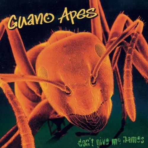 Виниловая пластинка Guano Apes - Don't Give Me Names (Black Vinyl LP)