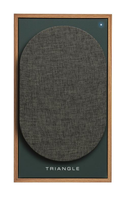 Полочная акустика Triangle BOREA BR03 Connect Oak Green