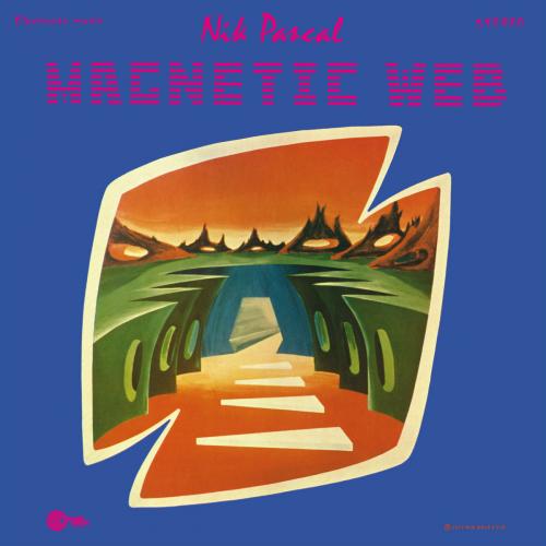 Виниловая пластинка Nik Raicevic - Magnetic Web (Black Vinyl LP)