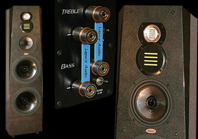 Напольная акустика Legacy Audio Signature SE black oak
