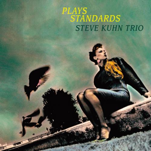 Виниловая пластинка Steve Kuhn - Plays Standards (Audiophile, Hyper Magnum Sound) (Black Vinyl 2LP)