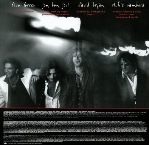 Виниловая пластинка Bon Jovi, These Days (Remastered 2014)